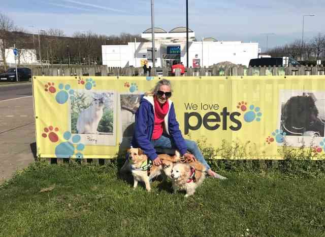 Sheila, Teddy & Billy having just arrived off Eurotunnel, in the UK.